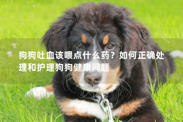 狗狗吐血该喂点什么药？如何正确处理和护理狗狗健康问题