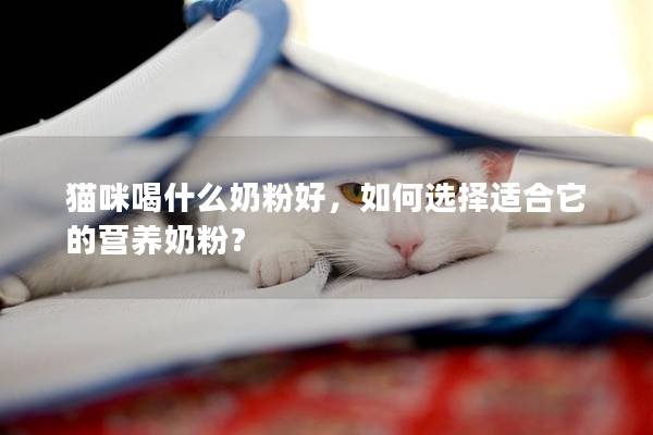 猫咪喝什么奶粉好，如何选择适合它的营养奶粉？