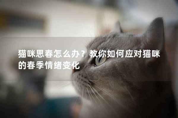 猫咪思春怎么办？教你如何应对猫咪的春季情绪变化