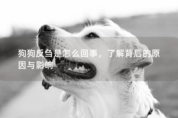 狗狗反刍是怎么回事，了解背后的原因与影响