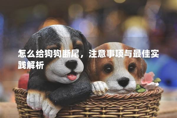 怎么给狗狗断尾，注意事项与最佳实践解析