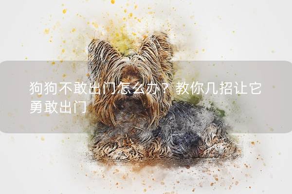 狗狗不敢出门怎么办？教你几招让它勇敢出门