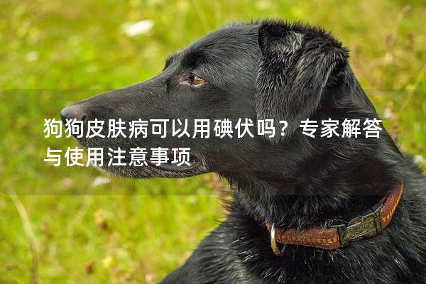 狗狗皮肤病可以用碘伏吗？专家解答与使用注意事项