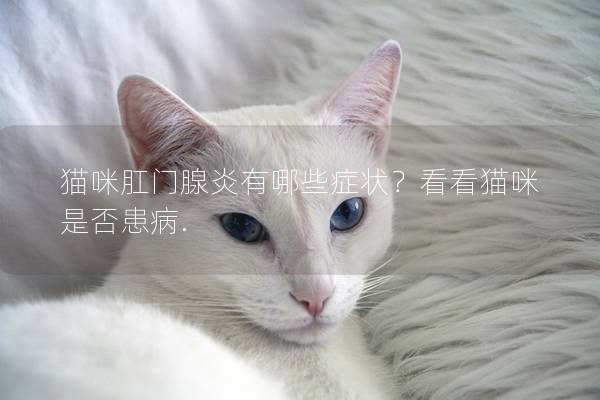 猫咪肛门腺炎有哪些症状？看看猫咪是否患病.