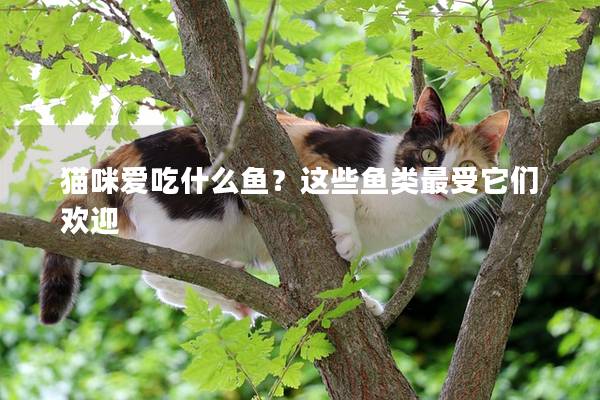 猫咪爱吃什么鱼？这些鱼类最受它们欢迎