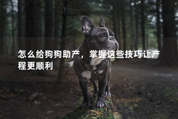 怎么给狗狗助产，掌握这些技巧让产程更顺利