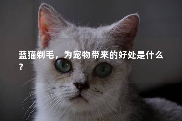 蓝猫剃毛，为宠物带来的好处是什么？