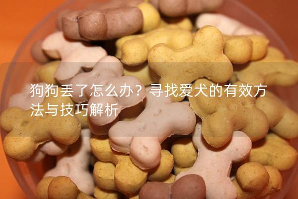 狗狗丢了怎么办？寻找爱犬的有效方法与技巧解析