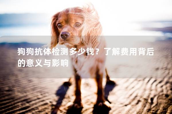 狗狗抗体检测多少钱？了解费用背后的意义与影响