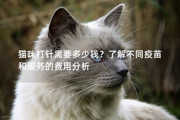 猫咪打针需要多少钱？了解不同疫苗和服务的费用分析