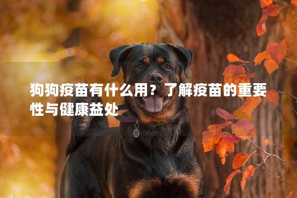 狗狗疫苗有什么用？了解疫苗的重要性与健康益处