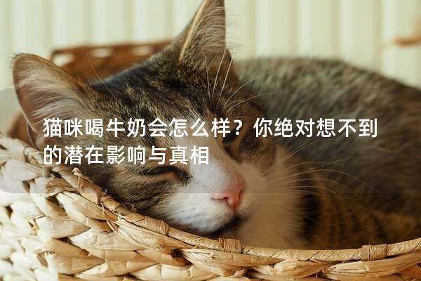 猫咪喝牛奶会怎么样？你绝对想不到的潜在影响与真相