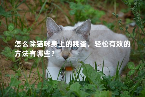 怎么除猫咪身上的跳蚤，轻松有效的方法有哪些？