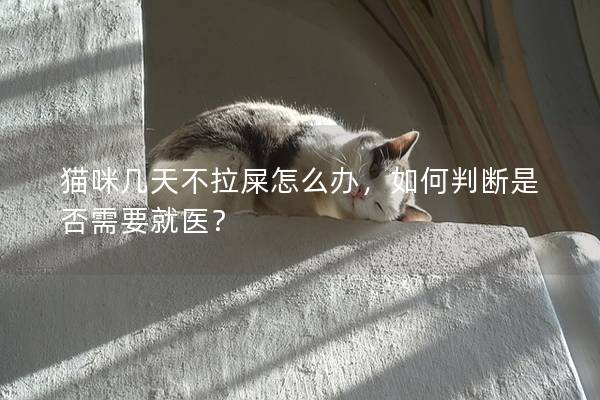 猫咪几天不拉屎怎么办，如何判断是否需要就医？