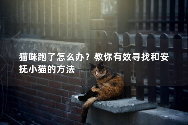 猫咪跑了怎么办？教你有效寻找和安抚小猫的方法