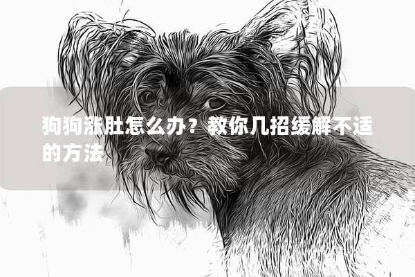 狗狗涨肚怎么办？教你几招缓解不适的方法