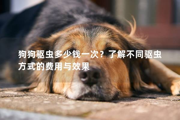 狗狗驱虫多少钱一次？了解不同驱虫方式的费用与效果