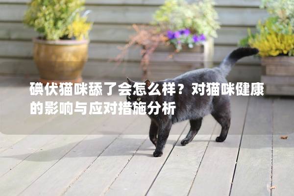 碘伏猫咪舔了会怎么样？对猫咪健康的影响与应对措施分析