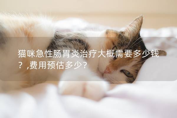 猫咪急性肠胃炎治疗大概需要多少钱？,费用预估多少？