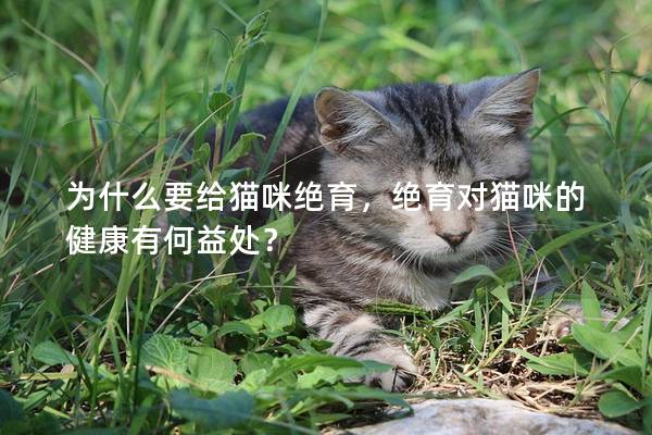 为什么要给猫咪绝育，绝育对猫咪的健康有何益处？