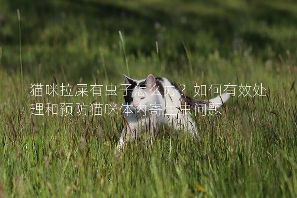 猫咪拉屎有虫子怎么办？如何有效处理和预防猫咪体内寄生虫问题