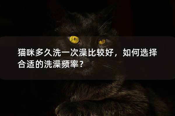 猫咪多久洗一次澡比较好，如何选择合适的洗澡频率？