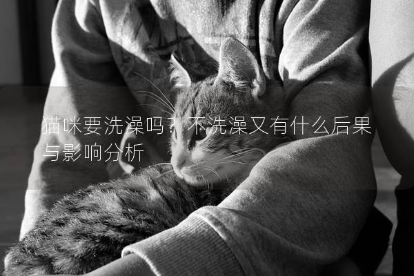 猫咪要洗澡吗？不洗澡又有什么后果与影响分析