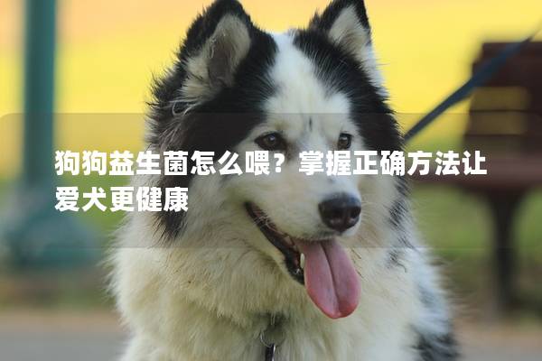 狗狗益生菌怎么喂？掌握正确方法让爱犬更健康