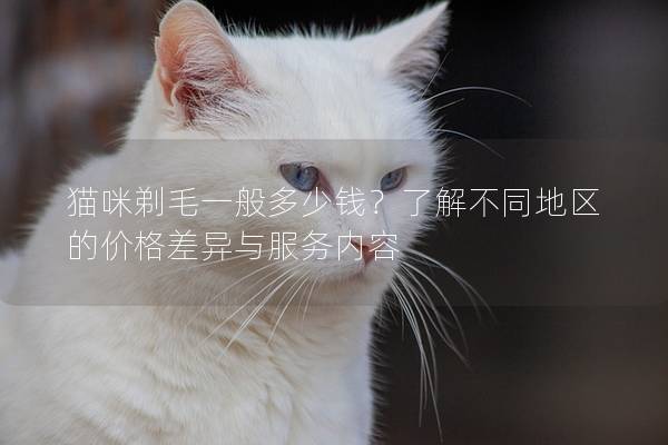 猫咪剃毛一般多少钱？了解不同地区的价格差异与服务内容