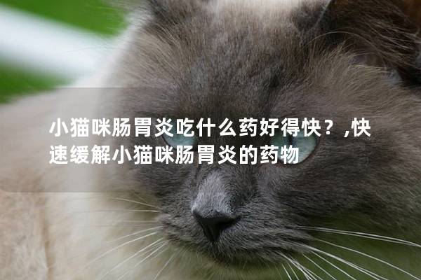 小猫咪肠胃炎吃什么药好得快？,快速缓解小猫咪肠胃炎的药物