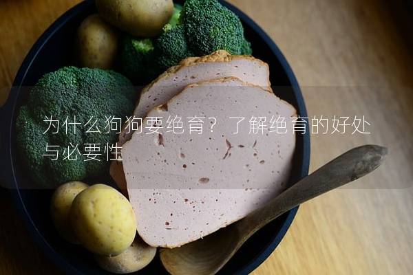 为什么狗狗要绝育？了解绝育的好处与必要性