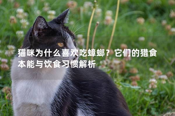 猫咪为什么喜欢吃蟑螂？它们的猎食本能与饮食习惯解析