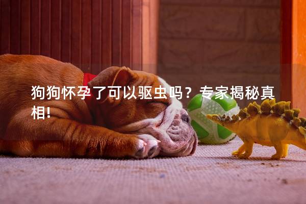 狗狗怀孕了可以驱虫吗？专家揭秘真相!