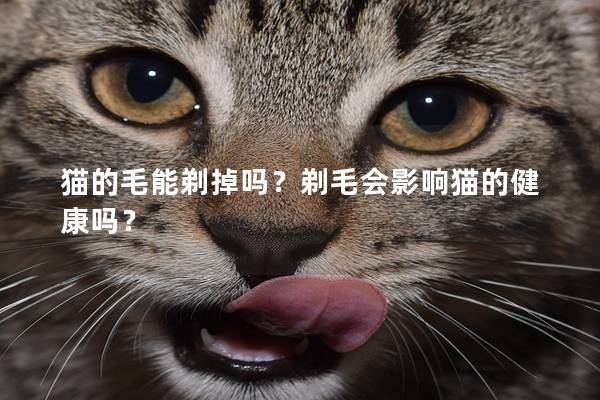 猫的毛能剃掉吗？剃毛会影响猫的健康吗？