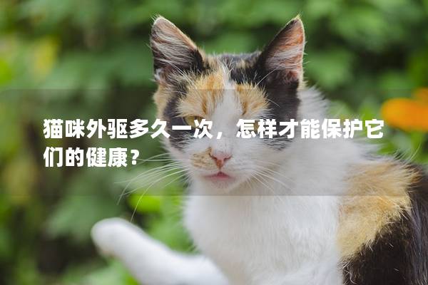 猫咪外驱多久一次，怎样才能保护它们的健康？