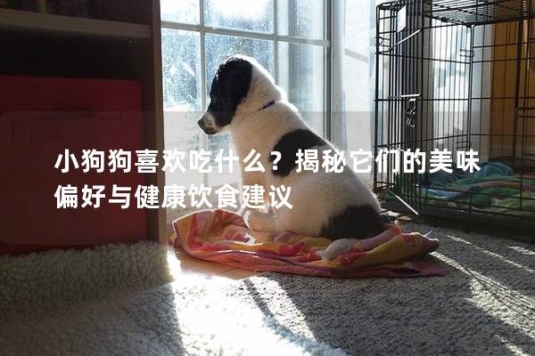 小狗狗喜欢吃什么？揭秘它们的美味偏好与健康饮食建议