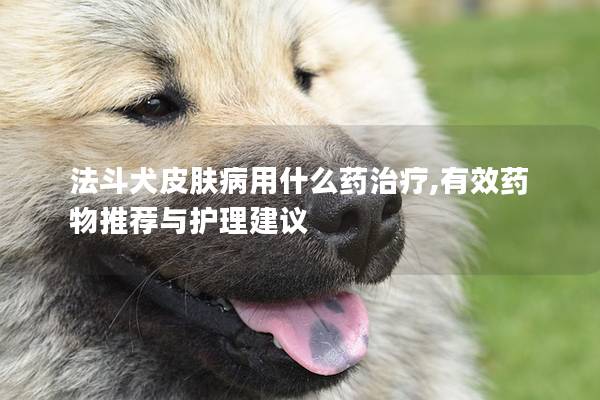 法斗犬皮肤病用什么药治疗,有效药物推荐与护理建议