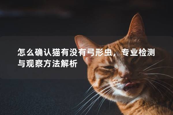 怎么确认猫有没有弓形虫，专业检测与观察方法解析