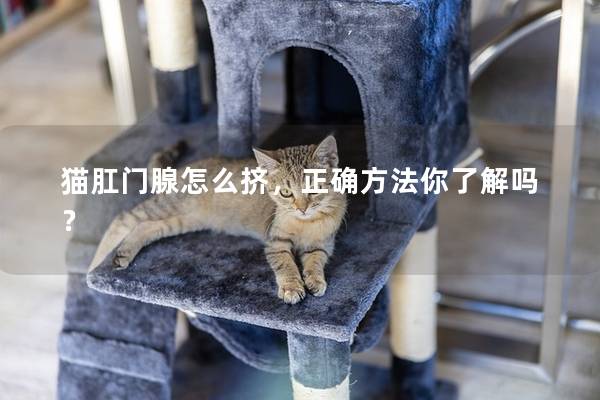 猫肛门腺怎么挤，正确方法你了解吗？