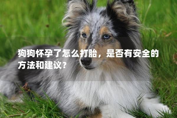 狗狗怀孕了怎么打胎，是否有安全的方法和建议？