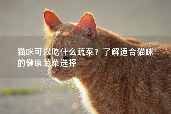 猫咪可以吃什么蔬菜？了解适合猫咪的健康蔬菜选择