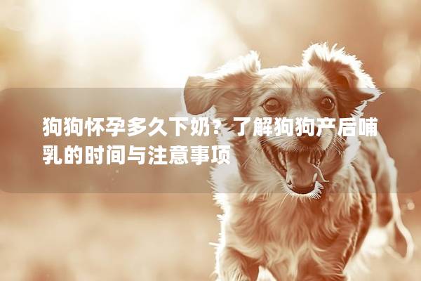 狗狗怀孕多久下奶？了解狗狗产后哺乳的时间与注意事项