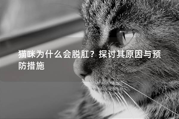 猫咪为什么会脱肛？探讨其原因与预防措施