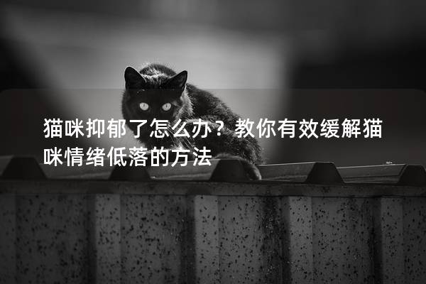 猫咪抑郁了怎么办？教你有效缓解猫咪情绪低落的方法