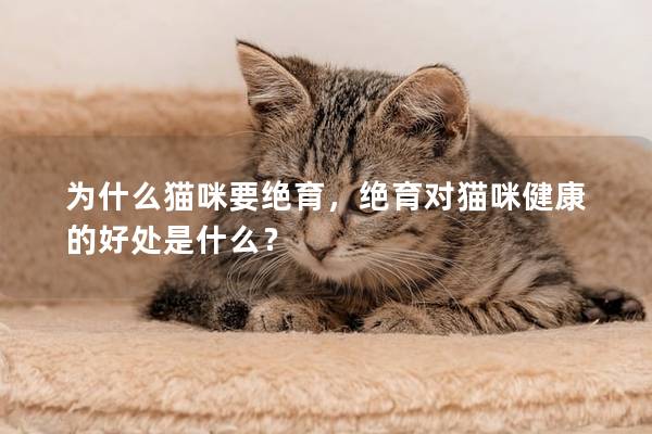 为什么猫咪要绝育，绝育对猫咪健康的好处是什么？