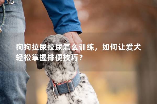 狗狗拉屎拉尿怎么训练，如何让爱犬轻松掌握排便技巧？