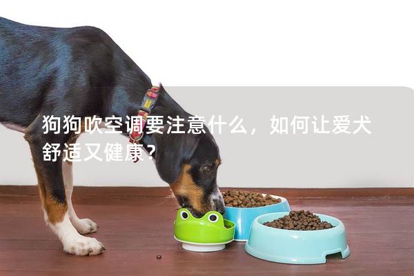 狗狗吹空调要注意什么，如何让爱犬舒适又健康？