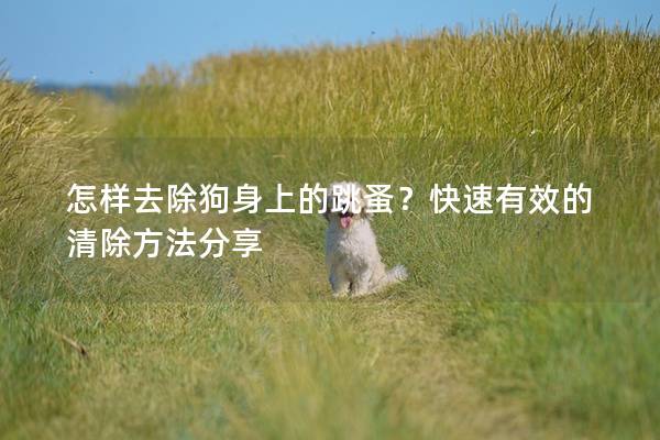 怎样去除狗身上的跳蚤？快速有效的清除方法分享