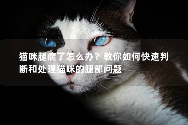 猫咪腿瘸了怎么办？教你如何快速判断和处理猫咪的腿部问题