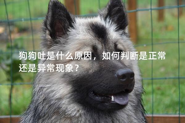 狗狗吐是什么原因，如何判断是正常还是异常现象？